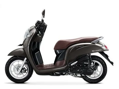 Honda Scoopy 2023 110cc for rent in Bali